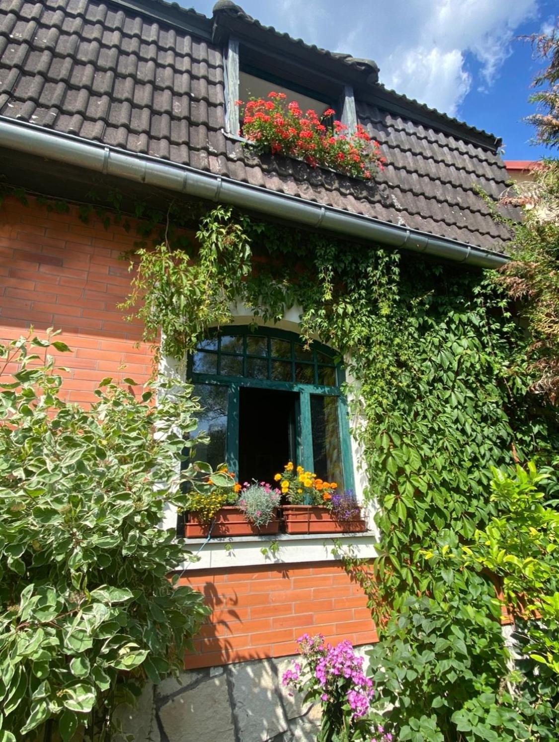 Apartman Dum U Kouli Prameny Εξωτερικό φωτογραφία